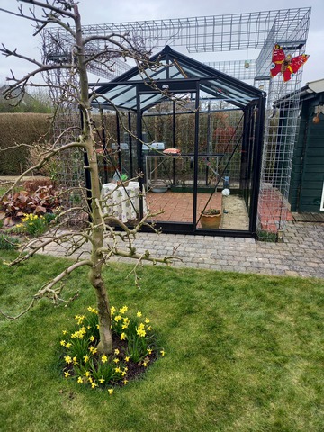 Om de kas heen gaat wilde wingerd, clematis en klimhorentia groeien en bloeien. Leuk bedacht!
